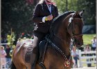 Pferd International 060